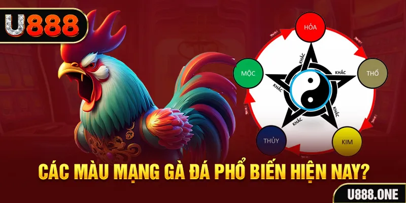 kubet77 trực tiếp đá gà 88