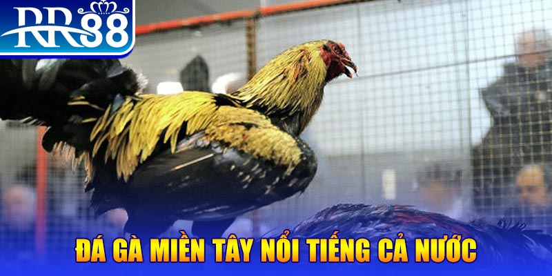 JILI Game Bài 3d