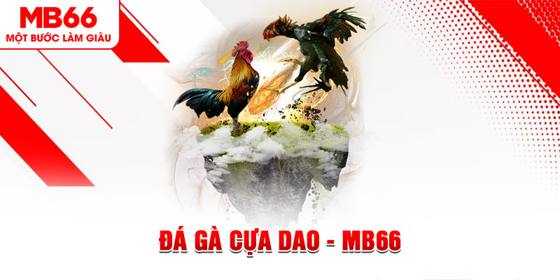 đá gà sv388 gold